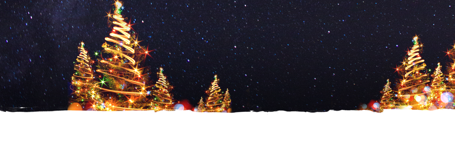 Lehigh Valley Zoo Winter Light Spectacular Discount Literacy Basics