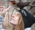 Perspective of a Guest Engagement Ambassador