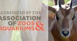 LVZoo Receives Fourth Accreditation from Association of Zoos & Aquariums