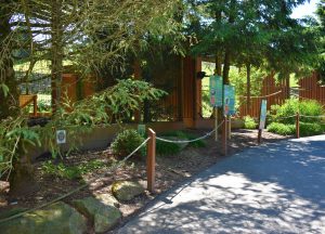 Birds of Prey exhibit at Lehigh Valley Zoo