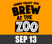 Brew at the Zoo