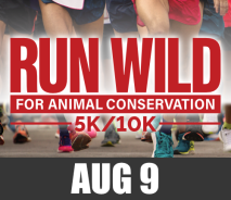 Run Wild