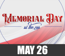 Memorial Day