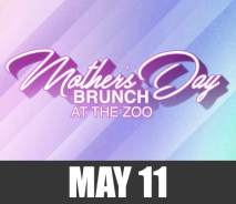 Mother’s Day Brunch