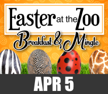 Easter at the Zoo