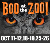 Boo at the Zoo
