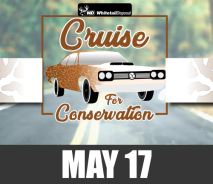 Cruise for Conservation
