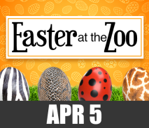 Easter at the Zoo