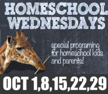 Homeschool Wednesdays
