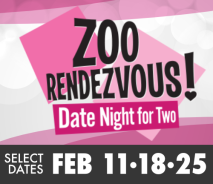 Zoo Rendezvous