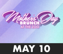 Mother’s Day Brunch