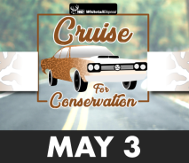Cruise for Conservation