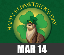 St. Pawtrick’s Day