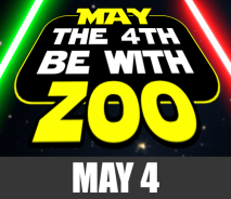 May The 4th Be With Zoo