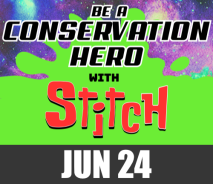 Conservation Hero