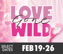 Love Gone Wild