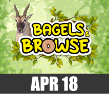 Bagels and Browse