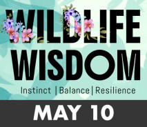 Wildlife Wisdom