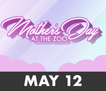 Mothers Day at the Zoo