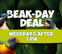 Beak-Day Deal
