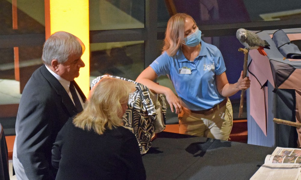 African Gray Parrot and guests at the Conservation Celebration