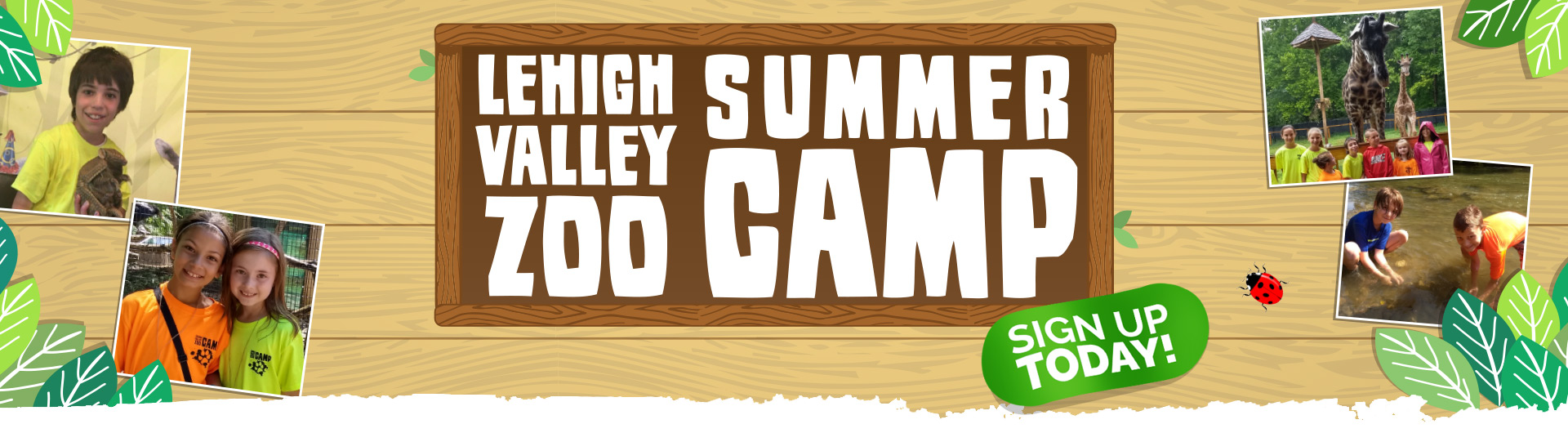 Lehigh Valley Zoo Smart Fun