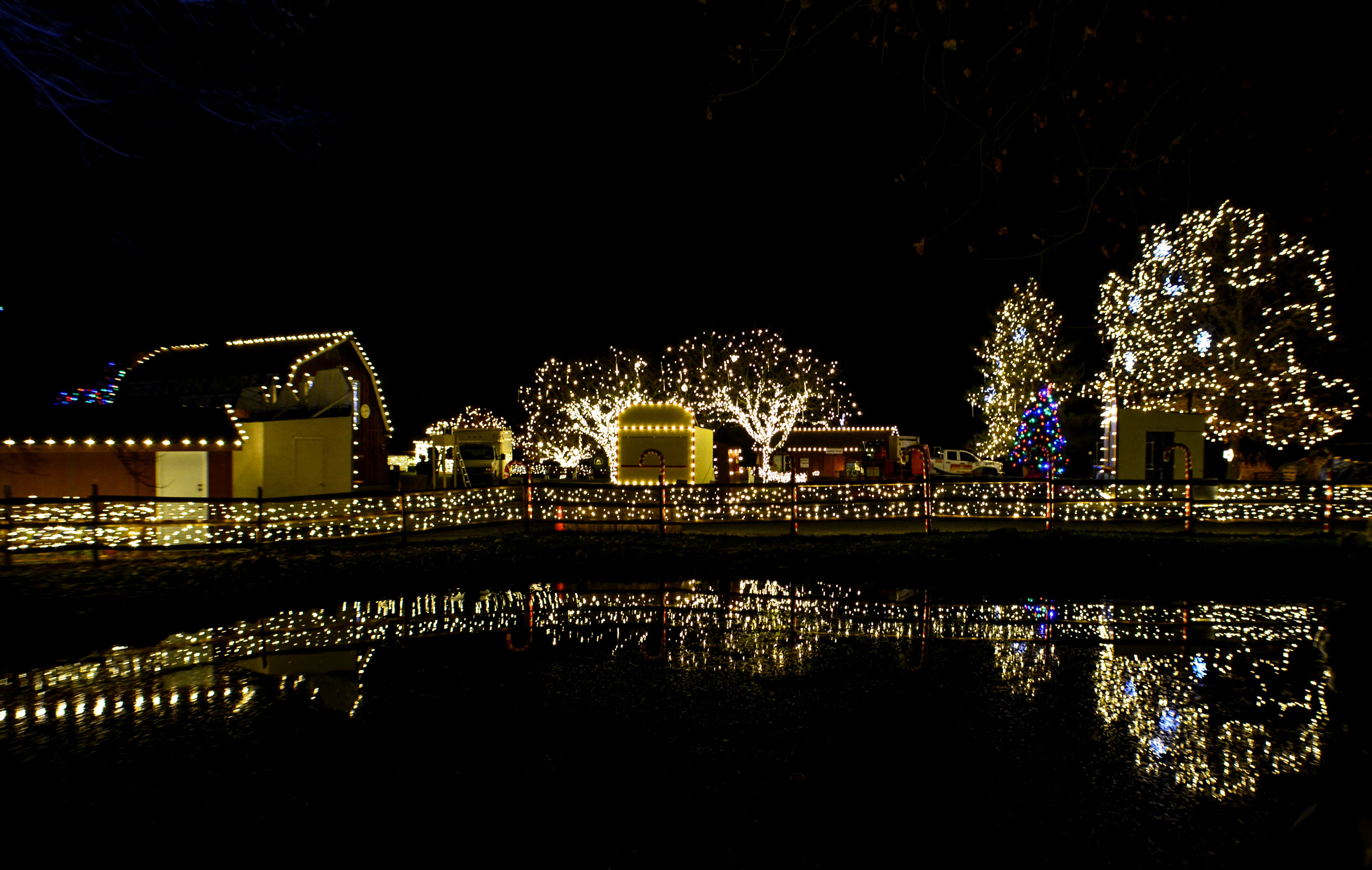Lehigh Valley Zoo Christmas Lights Paul Smith