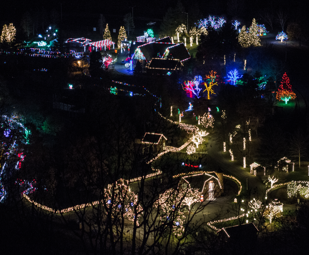 Lehigh Valley Zoo Christmas Lights