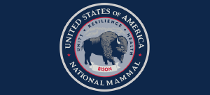 American Bison named National Mammal of U.S.