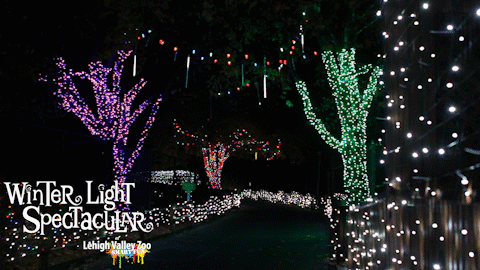 Winter Light Spectacular - Lehigh Valley Zoo