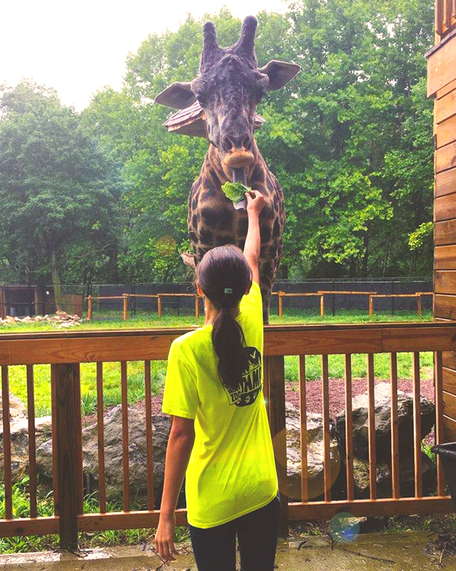 Summer Camps Lehigh Valley Zoo