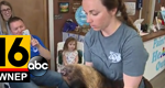 Hanging out with a Sloth – WNEP 16