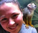 Training Plans at the Zoo