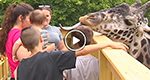 Lehigh Valley Zoo Tour at 4 on 69 WFMZ