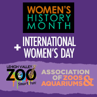 Women's History Month + International Women's Day graphic