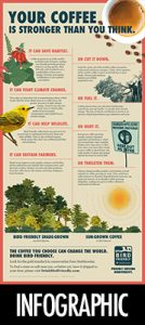 Thumbnail of the Bird Friendly infographic - click to download PDF