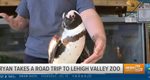 16WNEP Visits Bahati the African Penguin and Audi the Fennec Fox