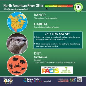Exhibit signage for North American River Otter