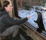 Cooperative Care at Lehigh Valley Zoo