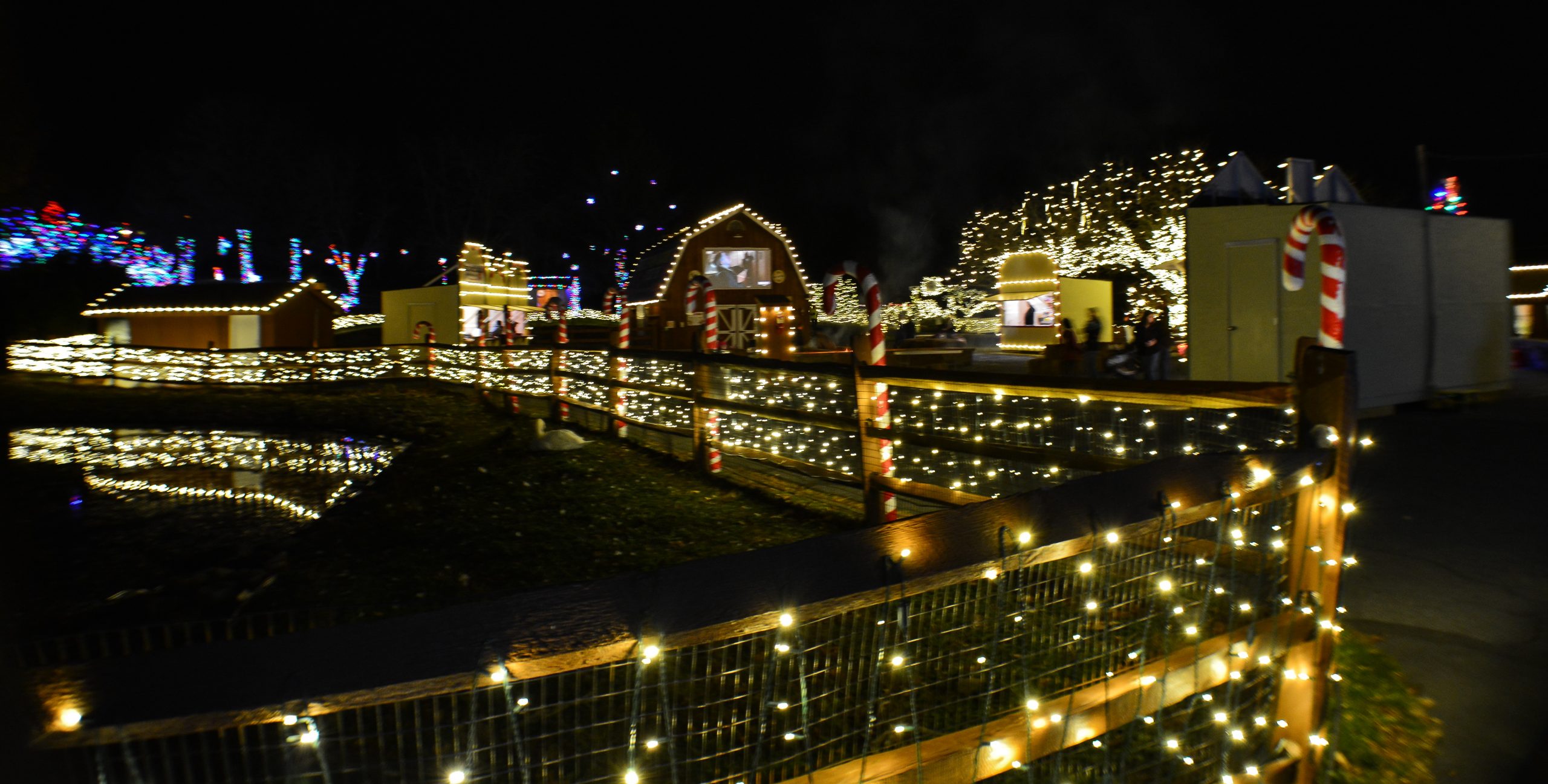 Illuminated farm area of the Zoo during Winter Light Spectacular