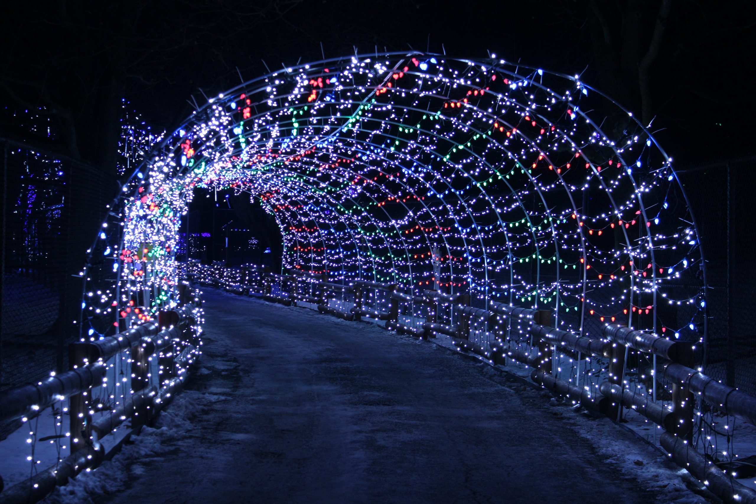 Multicolored light tunnel at Winter Light Spectacular