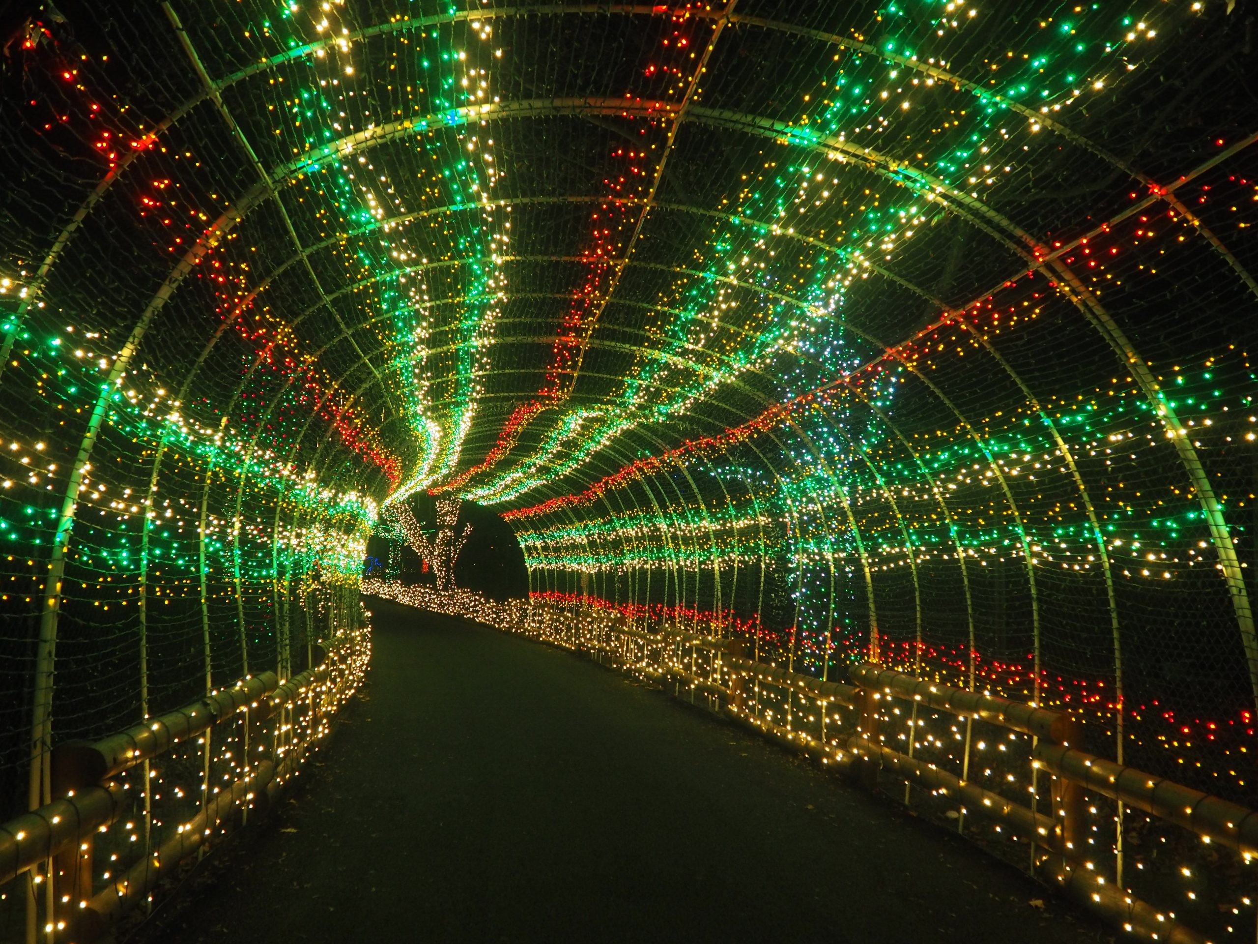 Red and green light tunnel at Winter Light Spectacular