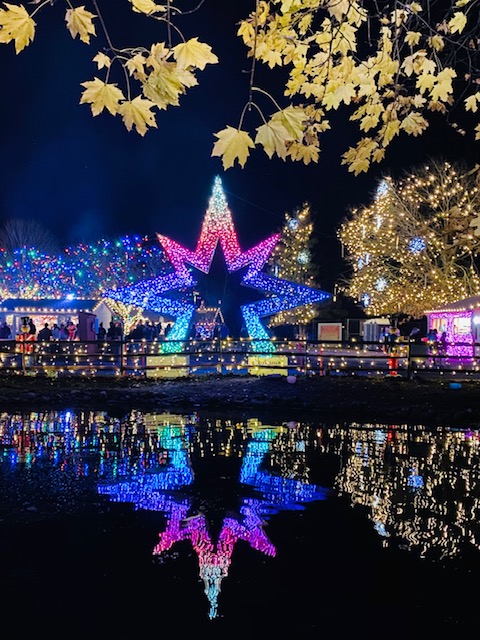 Holiday lights and motifs beneath a large illuminated star in the farm area of the Zoo during Winter Light Spectacular