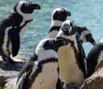 One Ocean, One Climate, One Future