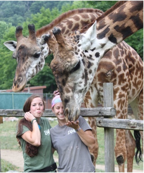 Two zookeepers posing with two Masai giraffes