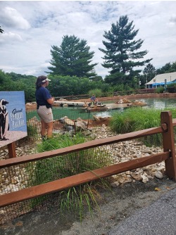 A conservation education intern giving a "keeper chat" presentation during an African penguin feeding