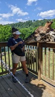 Conservation education intern feeding a Masai giraffe