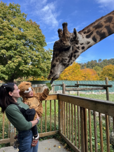 Photo of Cher, director of conservation education, holding her child who is feeding lettuce to a Masai giraffe