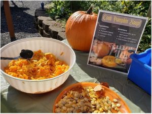 Photo of a nature play activity station with directions - Cook Pumpkin Soup