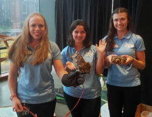 Photo of conservation educators at the zoo's conservation gala, from left to right: Tara, Emily, & Cassidy